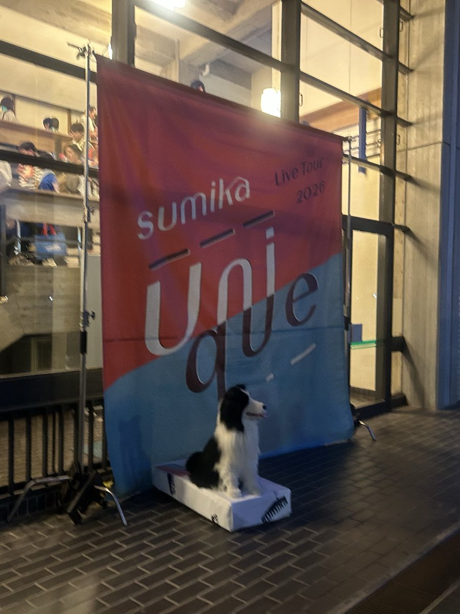 ［ こ こ ］ tweet media