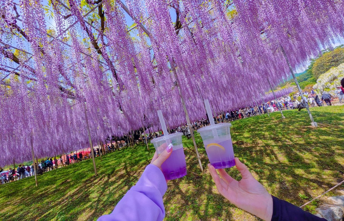 (🎮)泪飴🍒⛓ tweet media