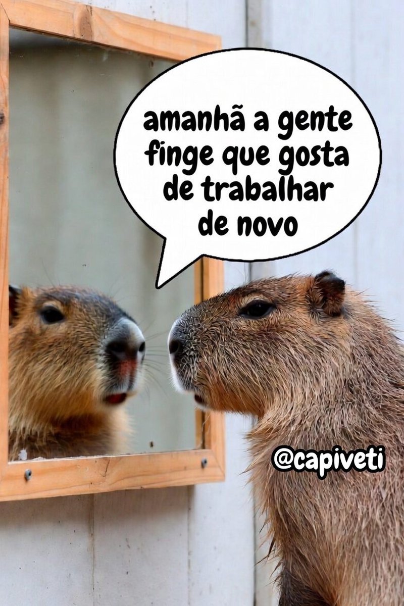 Capiveti Sincera tweet media