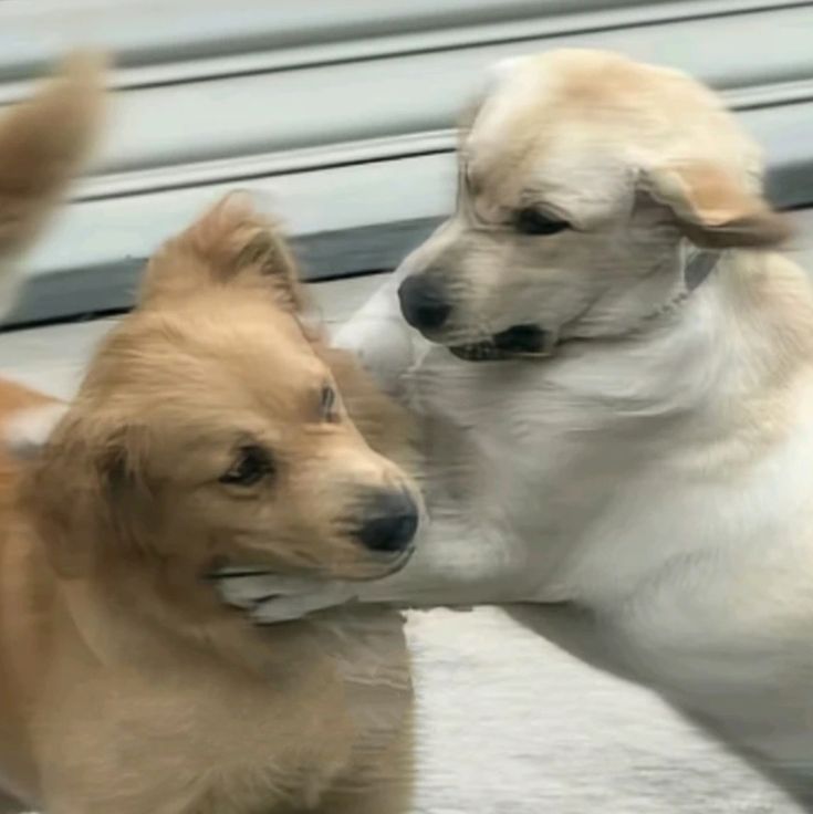 𝙁𝙧𝙞𝙚𝙙𝙧𝙞𝙘𝙝. tweet media