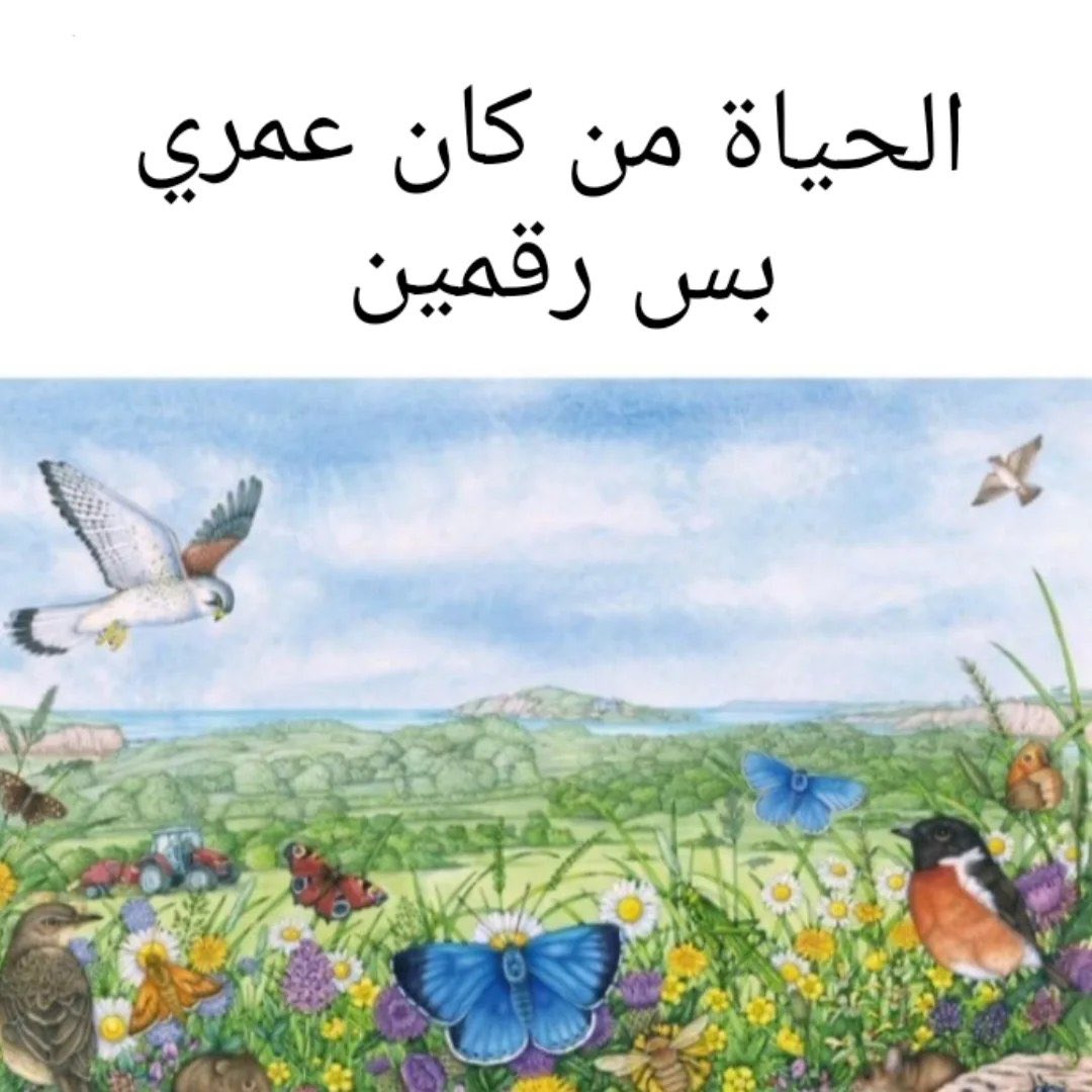 abdulrahman tweet media