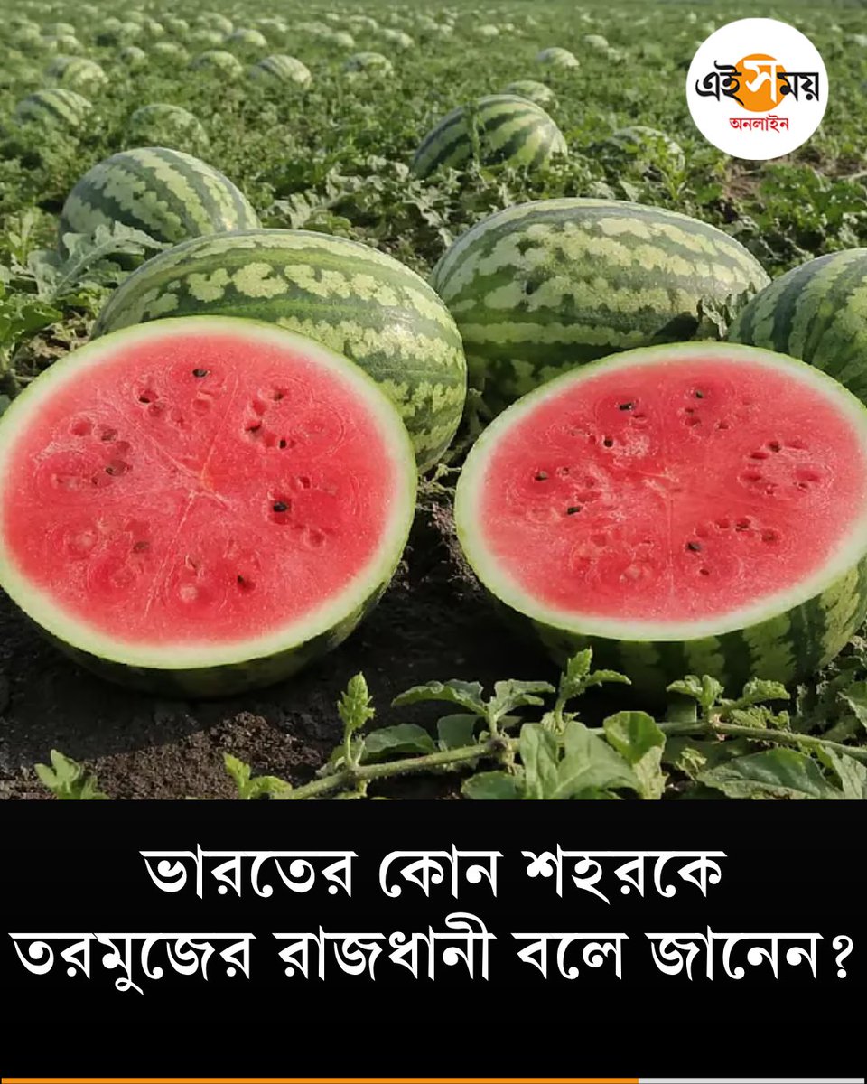 Ei_Samay's tweet image. ভারতের ‘ওয়াটারমেলন ক্যাপিটাল’ কোথায় জানেন?
দেখুন ➡️eisamay.com/photo-gallery/…
India | watermelon
#eisamay #eisamayonline