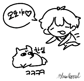 파란앵무 tweet media