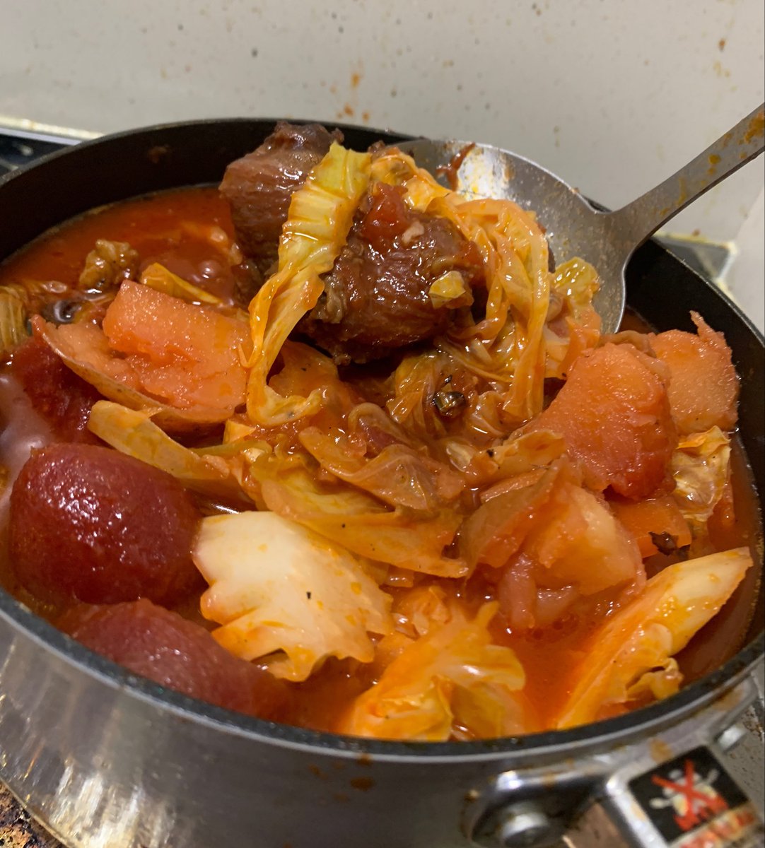 鍋一杯のボルシチをつくった
そもそもボルシチを食ったことがないから成功か失敗かわからないが一応美味くはある 