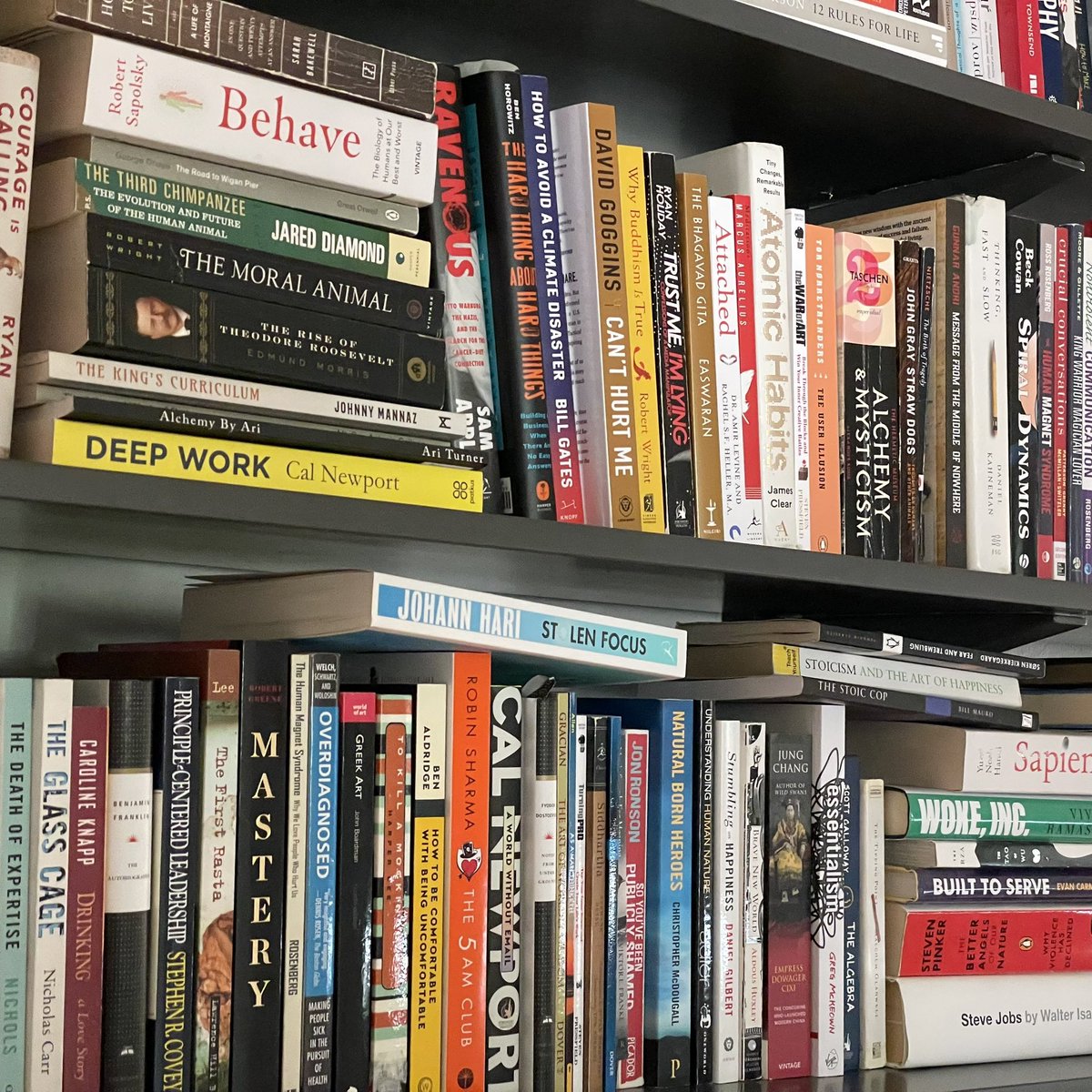 BookLab by Bjorn tweet media
