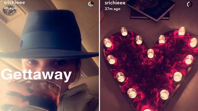 ella 🐾 tweet media