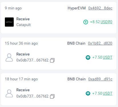 Elo's Kat tweet media