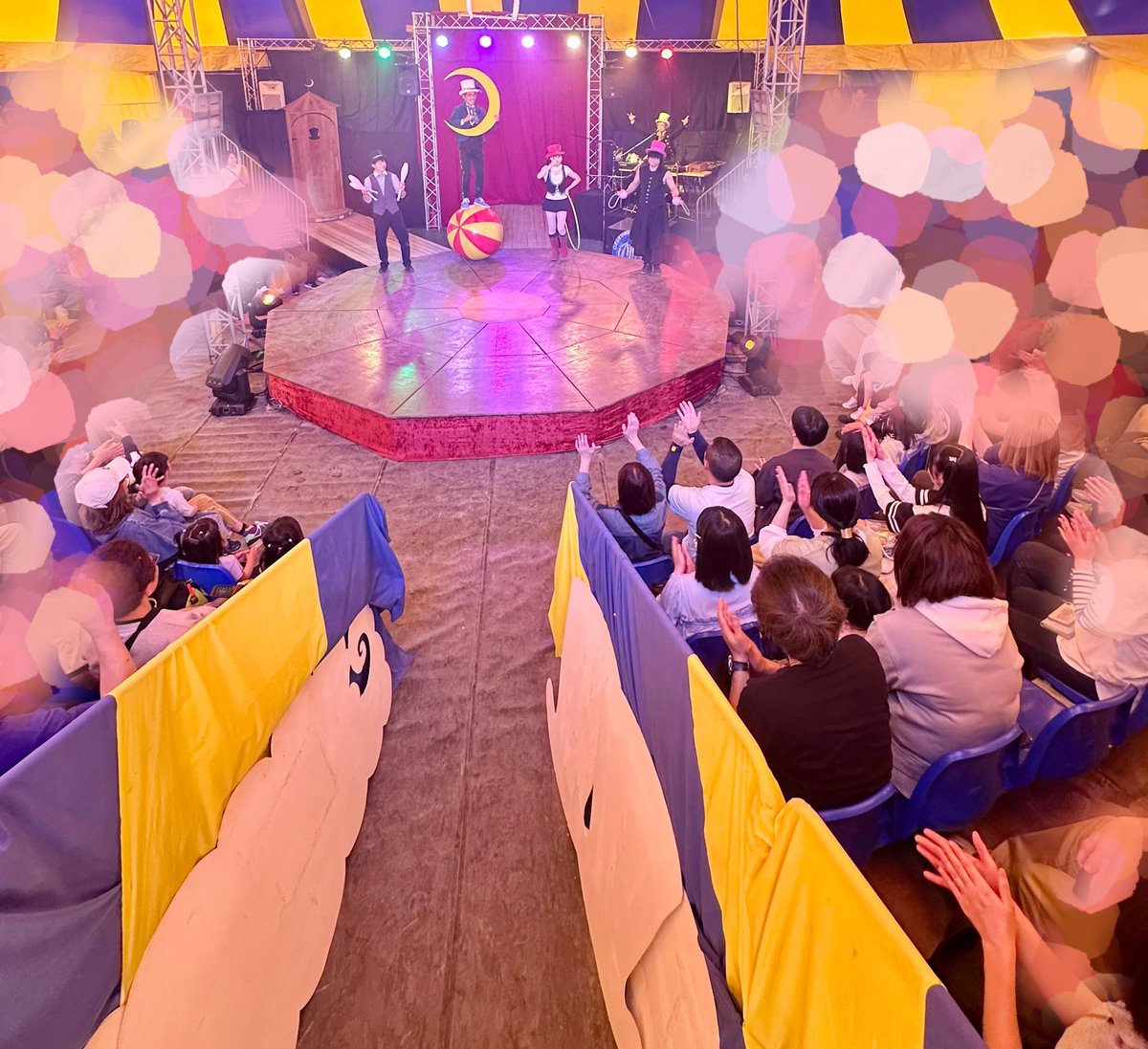 【公式】クロワッサン・サーカス tweet media