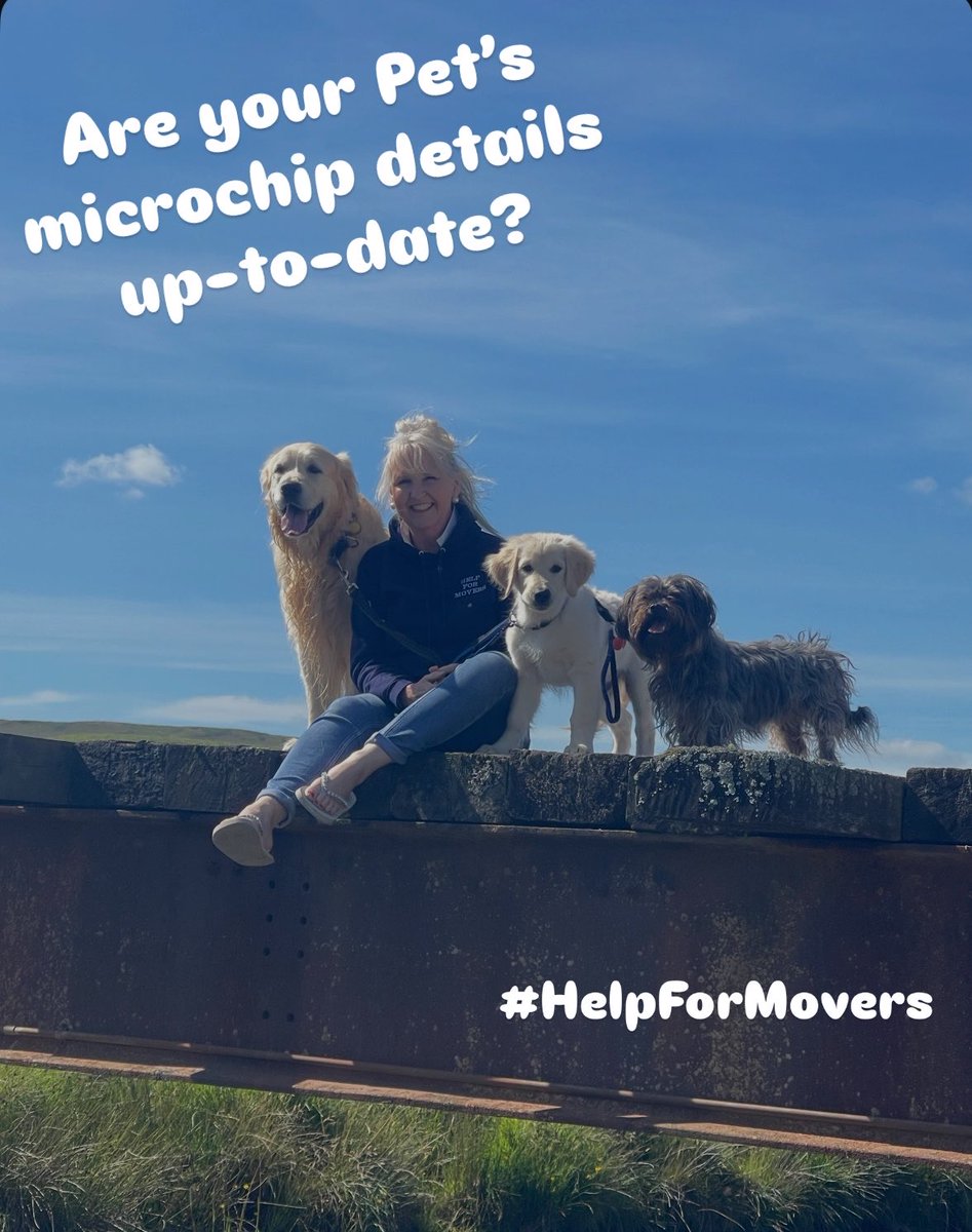 HelpForMovers's tweet image. Moving house? Don’t forget this…

Update your pet’s microchip details 🐾
It could be what gets them home!!!❤️

Please share - this one really matters.

Bear Boy showing off our moving guide 🥰

#pets #movinghouse #movingtips