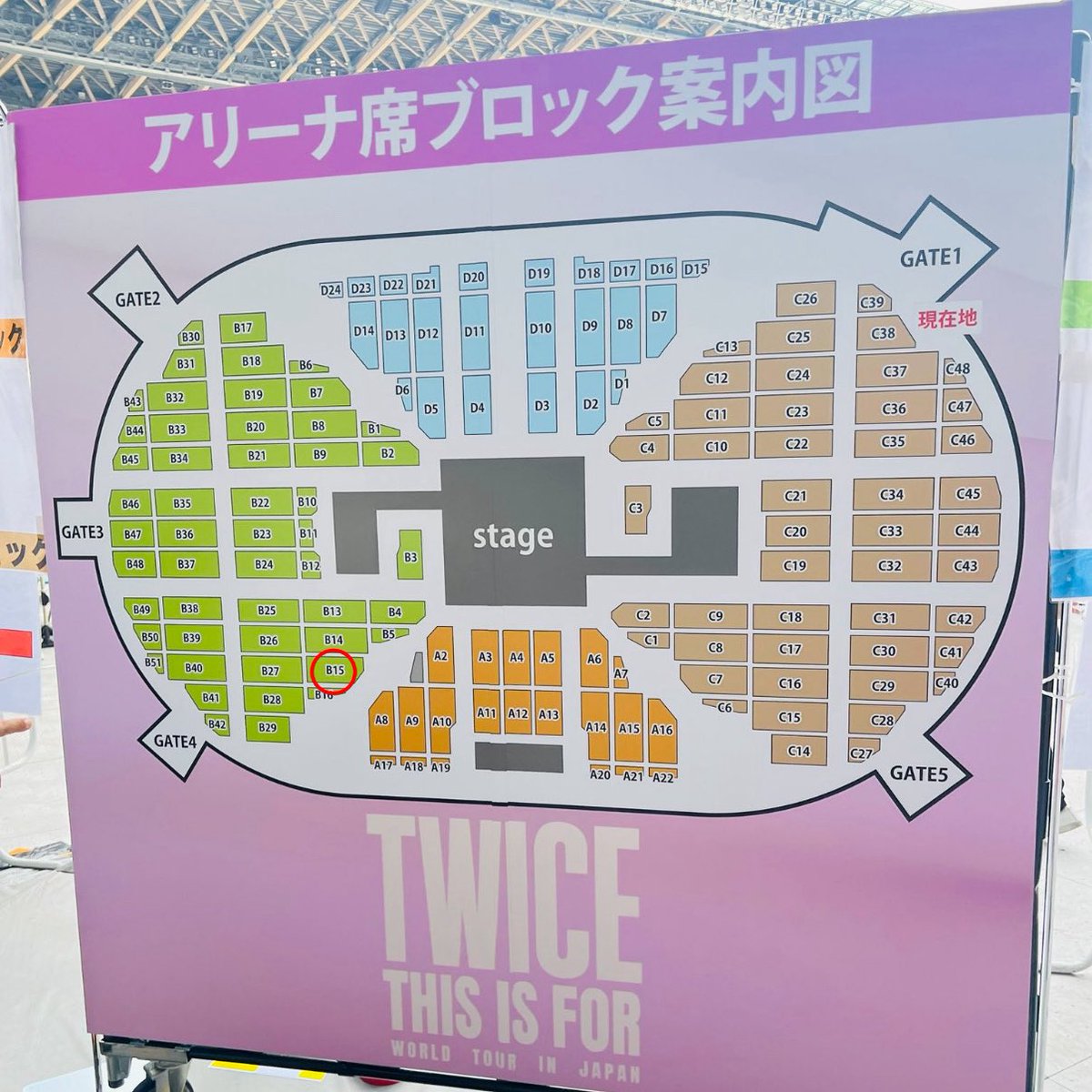 ももらんど🍑 tweet media