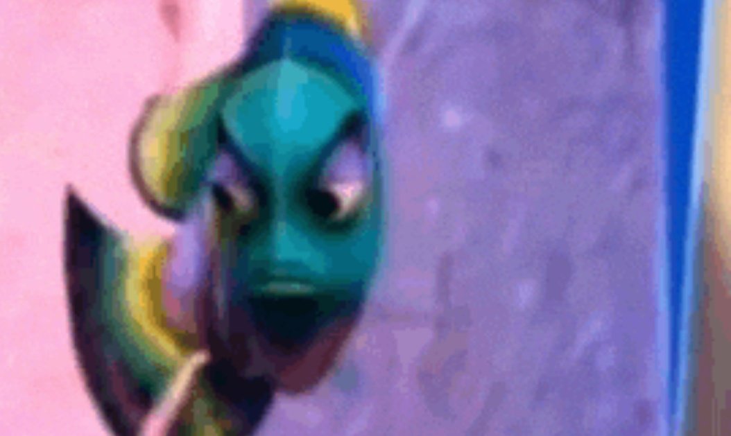 🐈‍⬛ tweet media