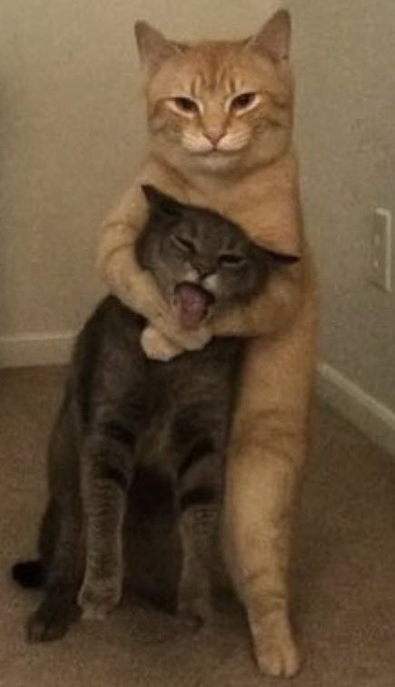 Same same                      But Different

#arafta