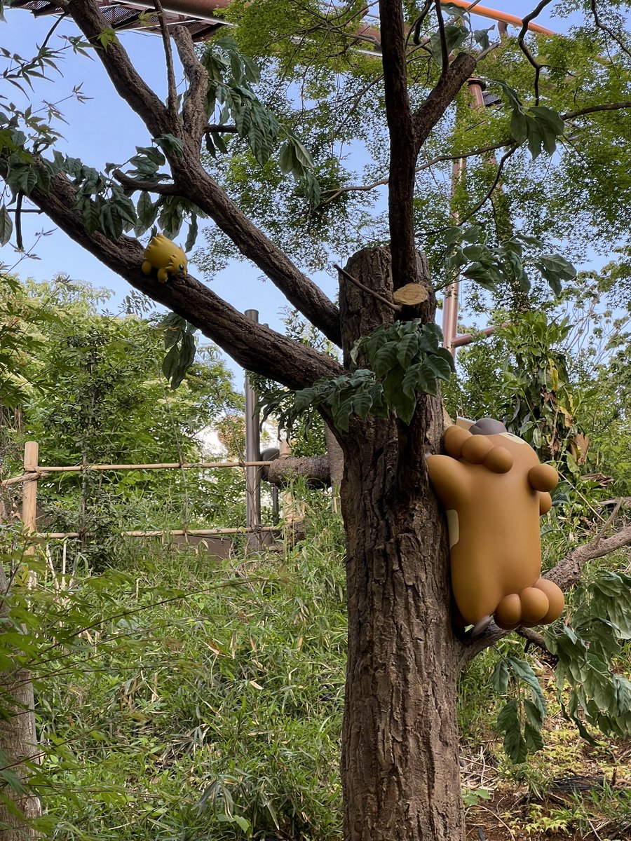 もちもちきなこもち tweet media