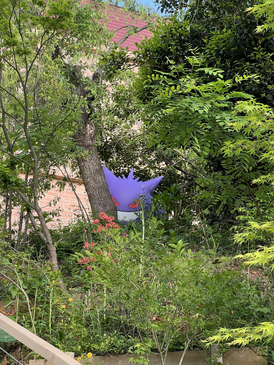 もちもちきなこもち tweet media