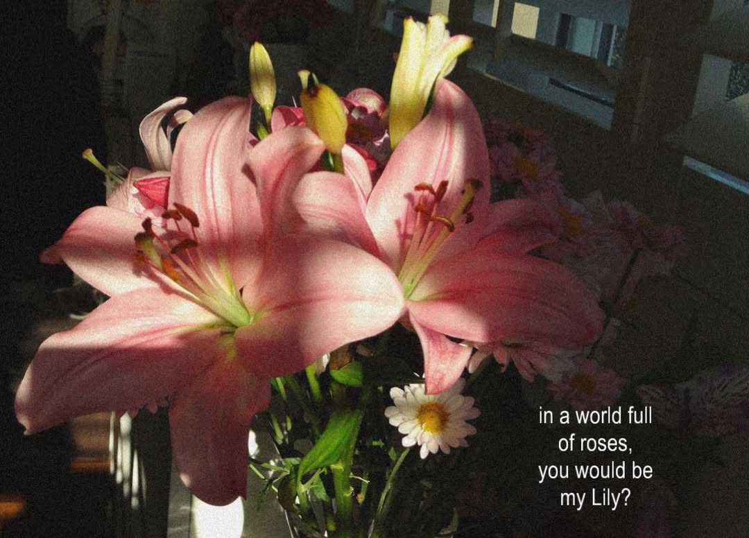Bloomify tweet media