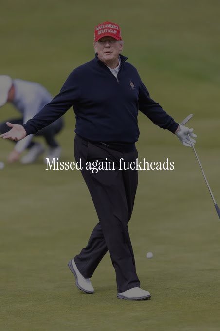 CONSERVATIVE tweet media