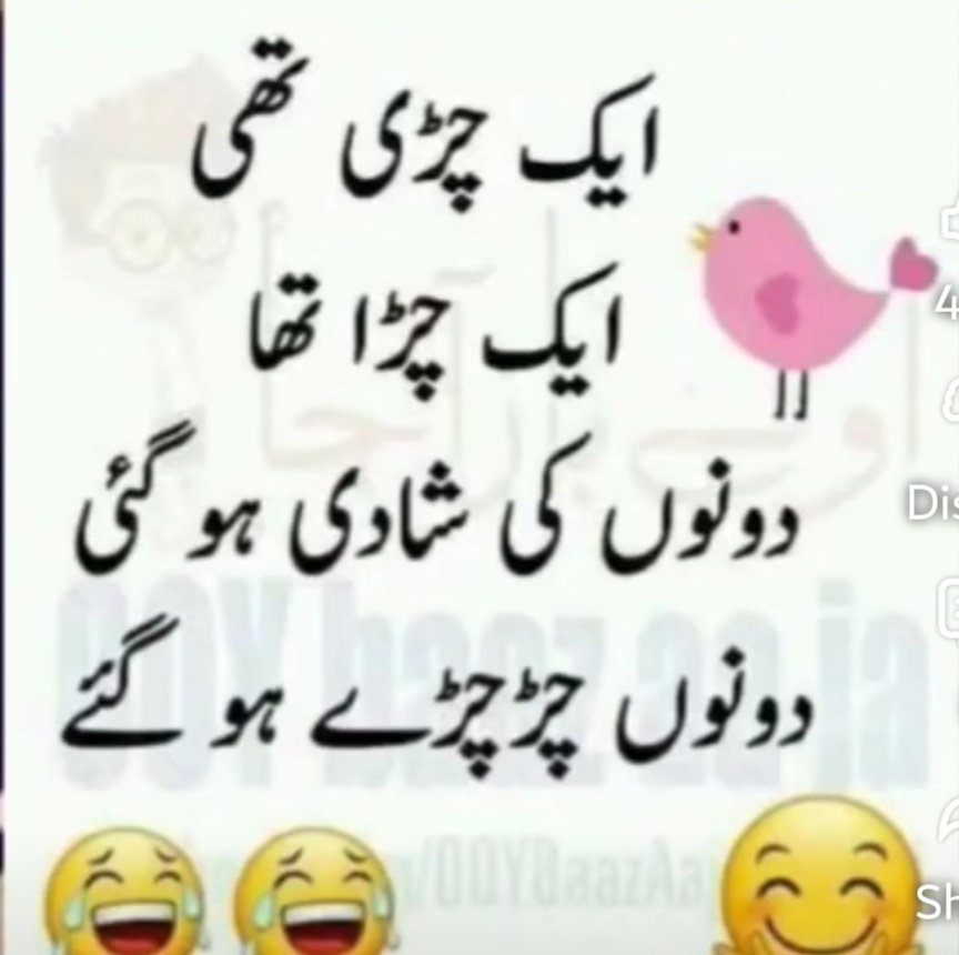 Farooq Malik tweet media