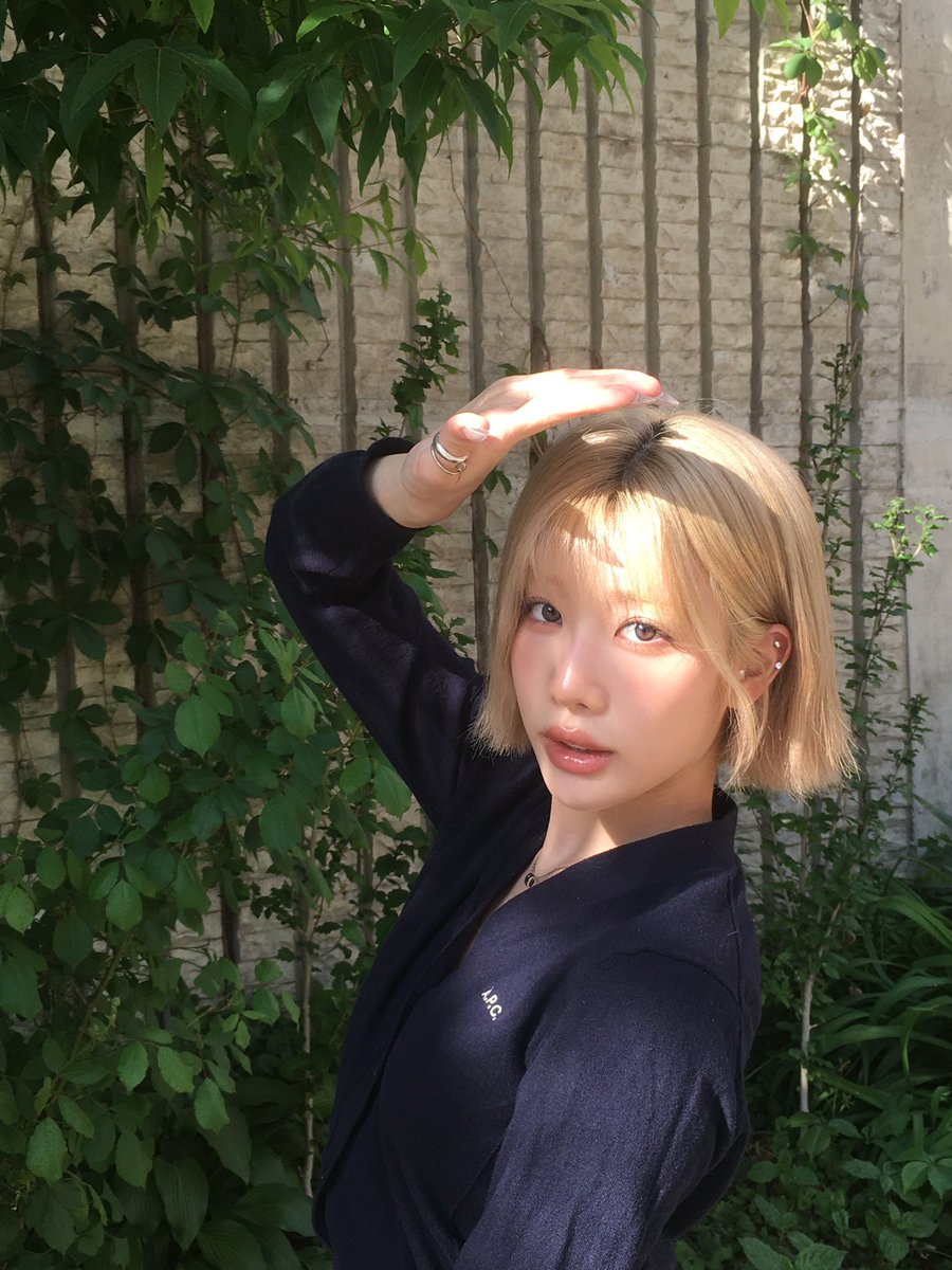 @choerora) / Posts / X