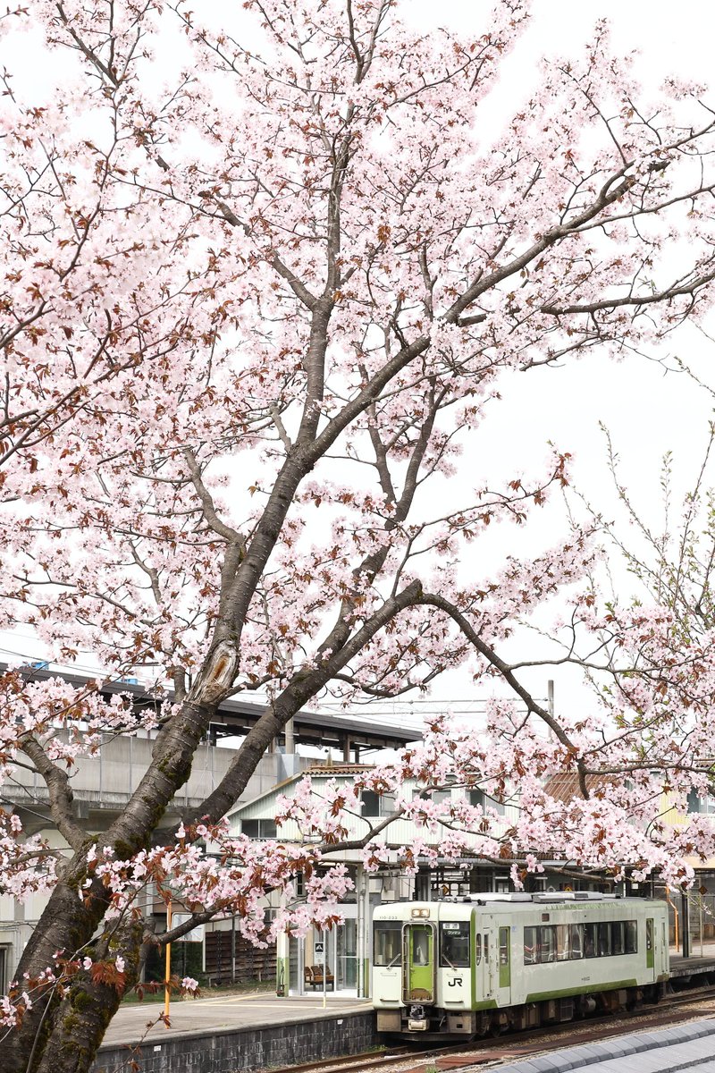 2026.4.17 飯山線十日町駅　春
#キハ100系 
#キハ110系