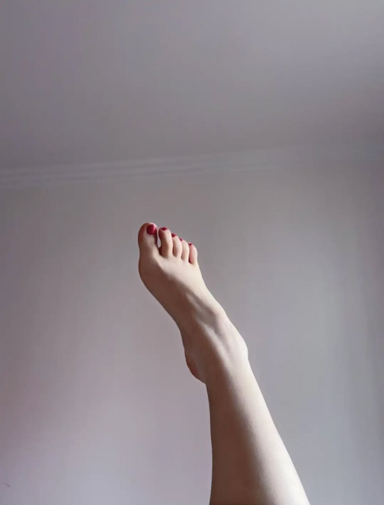 애옹 tweet media