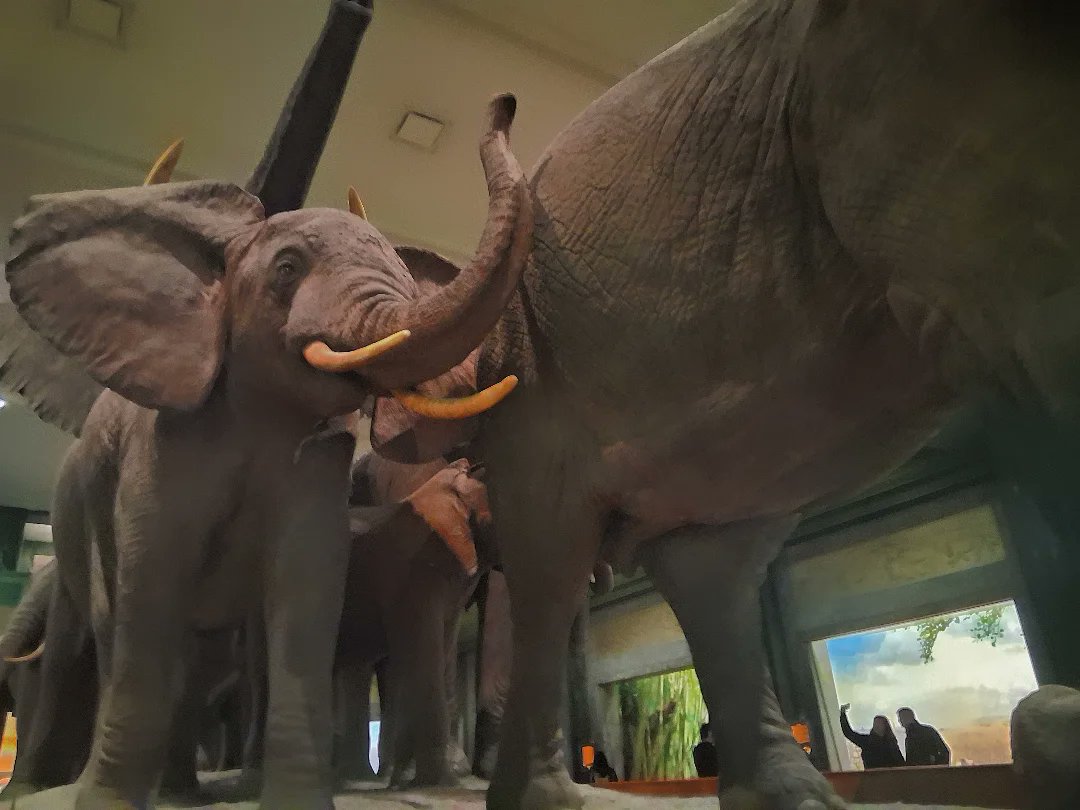 sheet_metal's tweet image. #biology