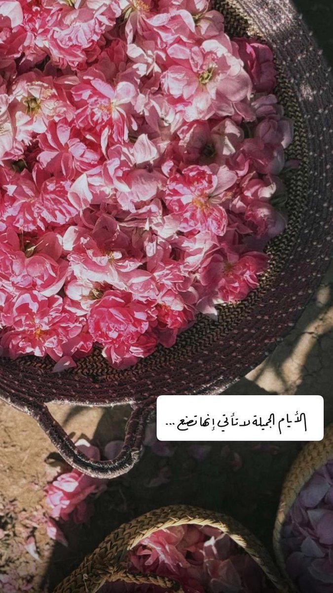 fa6ma234's tweet photo. 🦋 https://t.co/XhyMkMGeoN