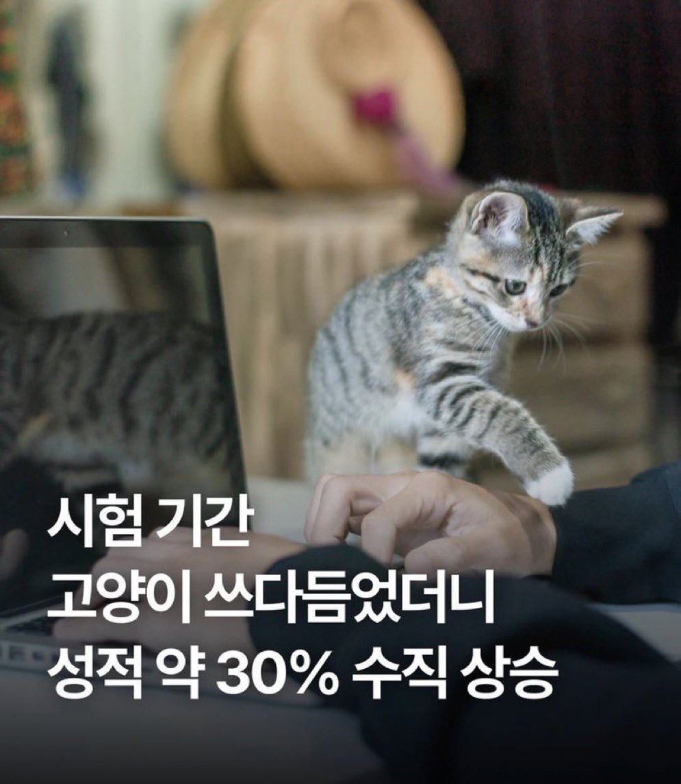 필월(slow) tweet media