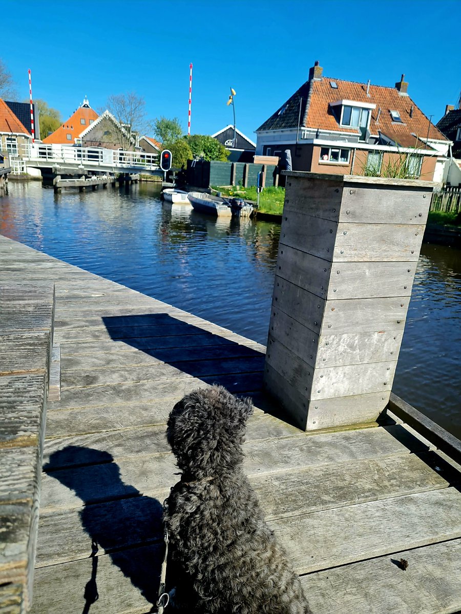 Frau von Belang tweet media