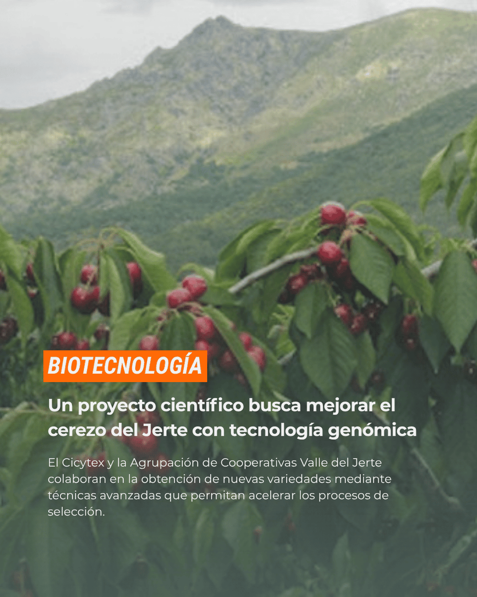 La Huerta Digital 📱 tweet media