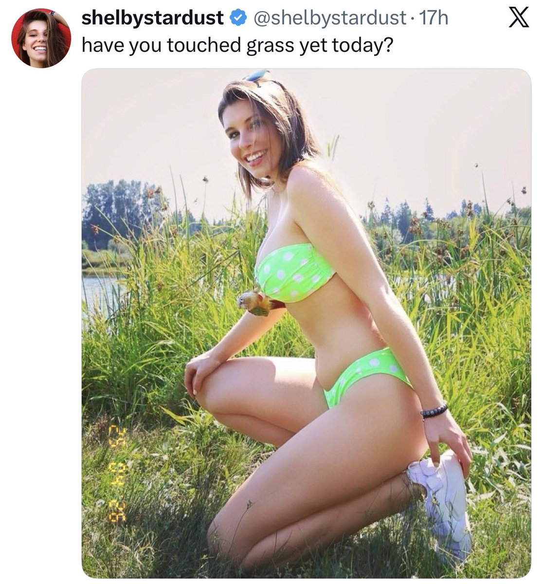 AmericanPapaBear™ tweet media