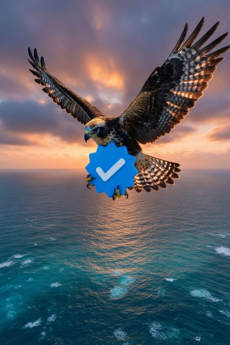 غيِىم tweet media