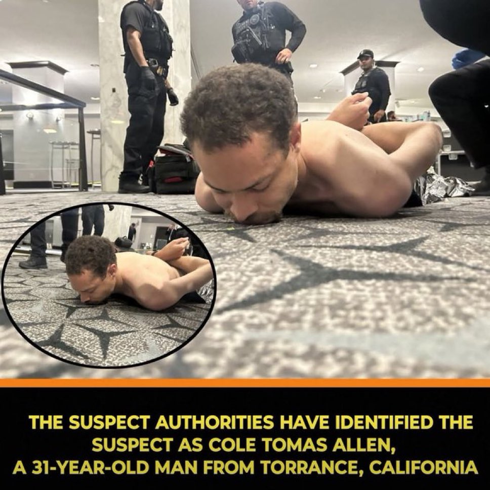 Elementix tweet media