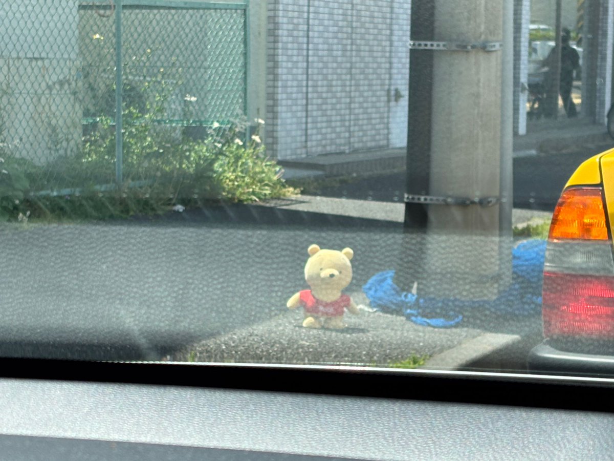 きひろ tweet media