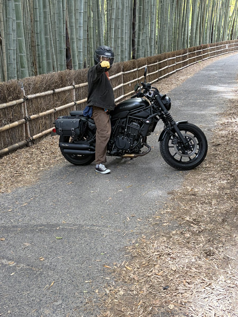 lo0Rei's tweet photo. ちたの竹林！！！！

なんか気づく人います？🧐🧐 https://t.co/eqwTHGg2Um
