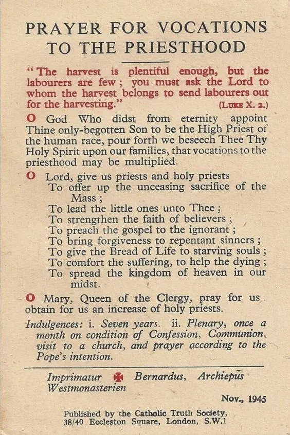 Fr. Paolo D'Angona tweet media