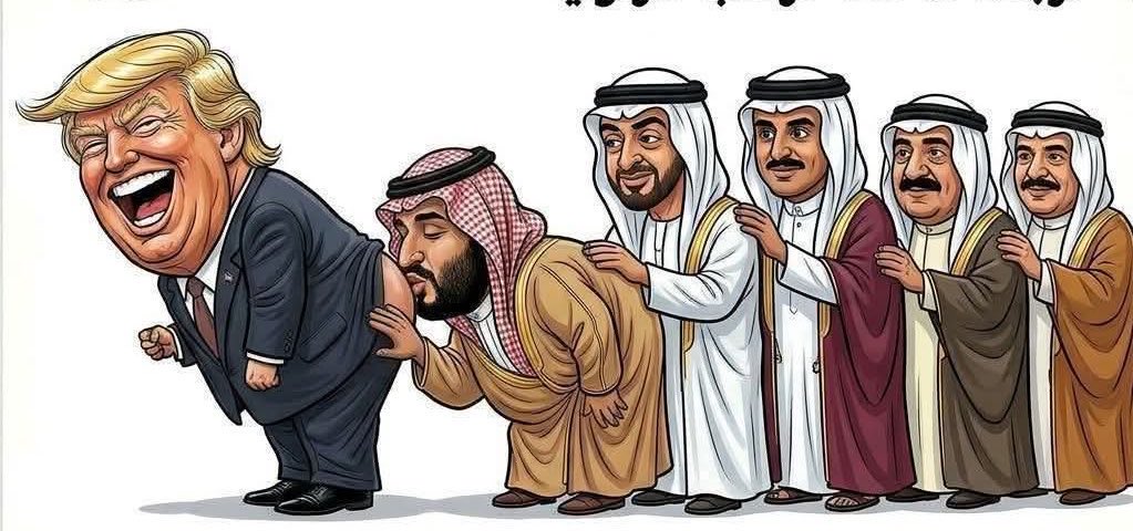 محمد زین العابدین tweet media