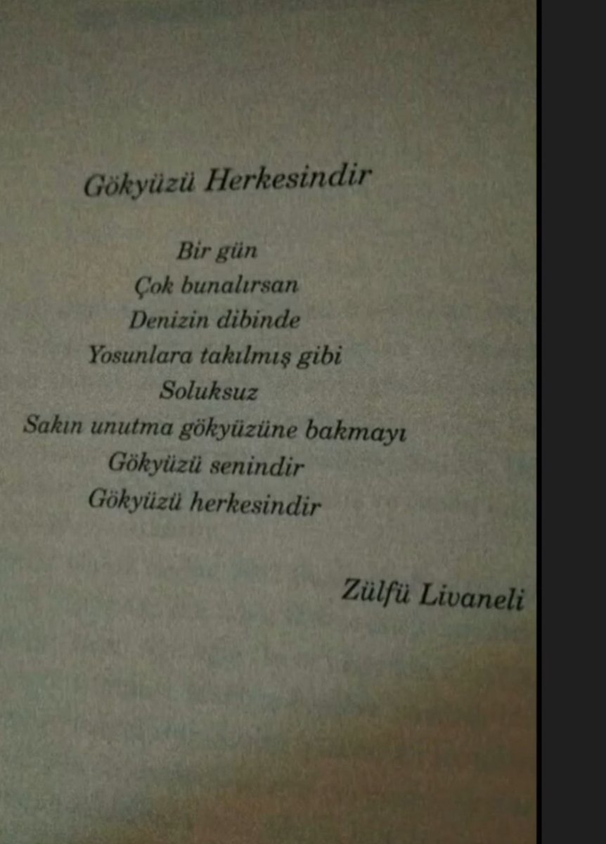 🖌️R. Atalay tweet media