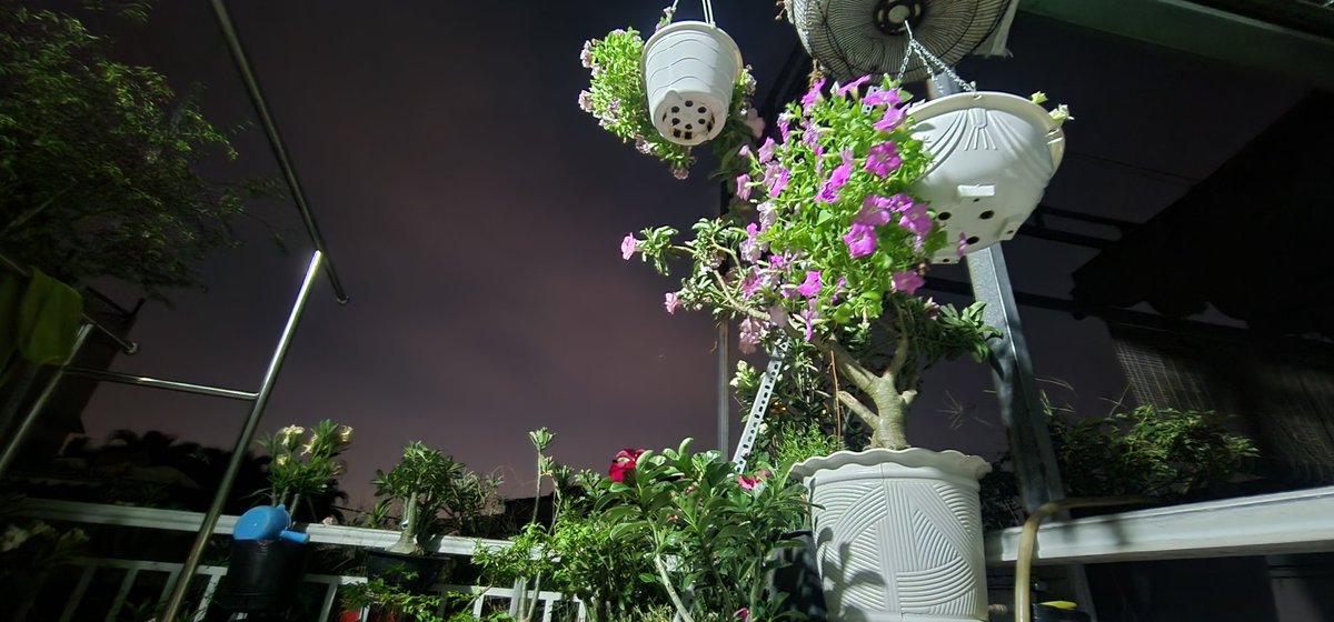 Nínnnnn........ ....😬 tweet media