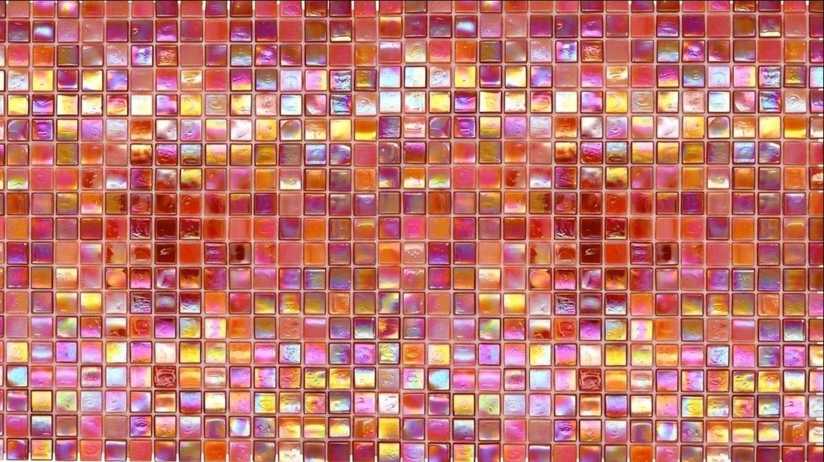 blossom. tweet media