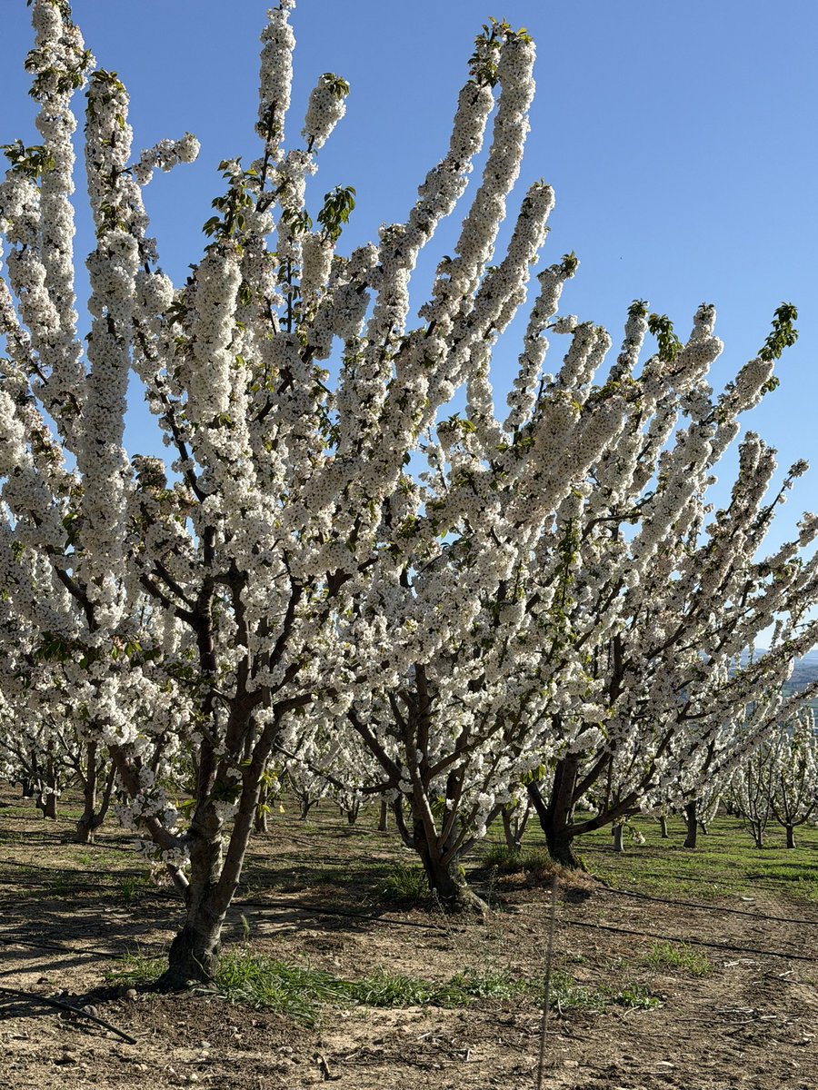 HobiBahçemeDokunma #YapıKayıtMeclise 

Lütfen bizlerin tarım ve hayvancılık yapmak için tarlamıza yaptığımız bağ evi hobi bahçesi villa gibi yapılarımızı yıkmayın .  Onları kayıt altına alalım.  Bizleri yaşatın .

İnsanı Yaşat ki Devlet yaşasın.

<a href="/diyadinosman/">Osman DİYADİN</a> <a href="/OsmanGokcek_/">Osman Gökçek</a>