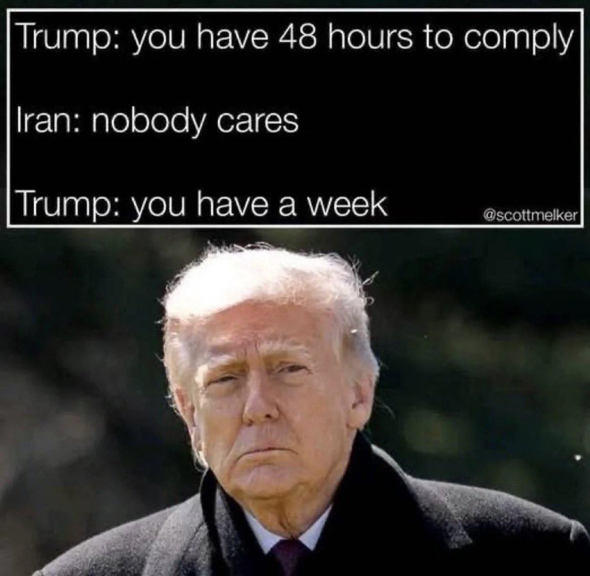 Amalek Rising: Re🔻engeance tweet media