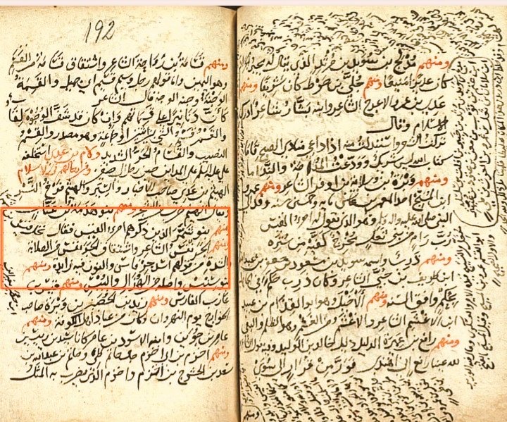 رابطة الضيــاغم الرسمية tweet media