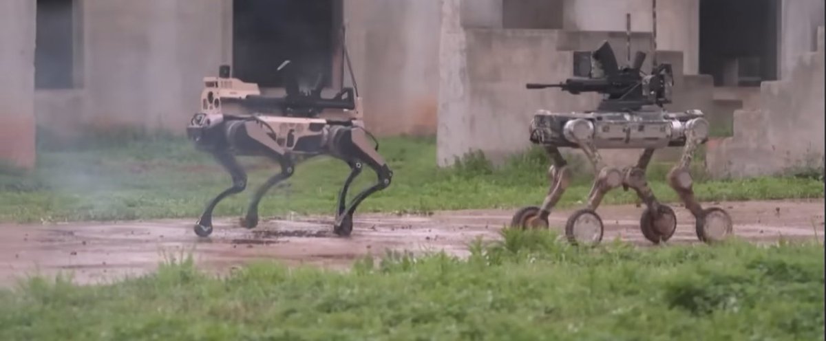 2runX's tweet image. I don’t know the breed yet. But when you call them, they come. I just had to free them from the lab they were being kept in a cage there. Mit #dog #hund ne runde #gassi gehen 🦴🐕🤷