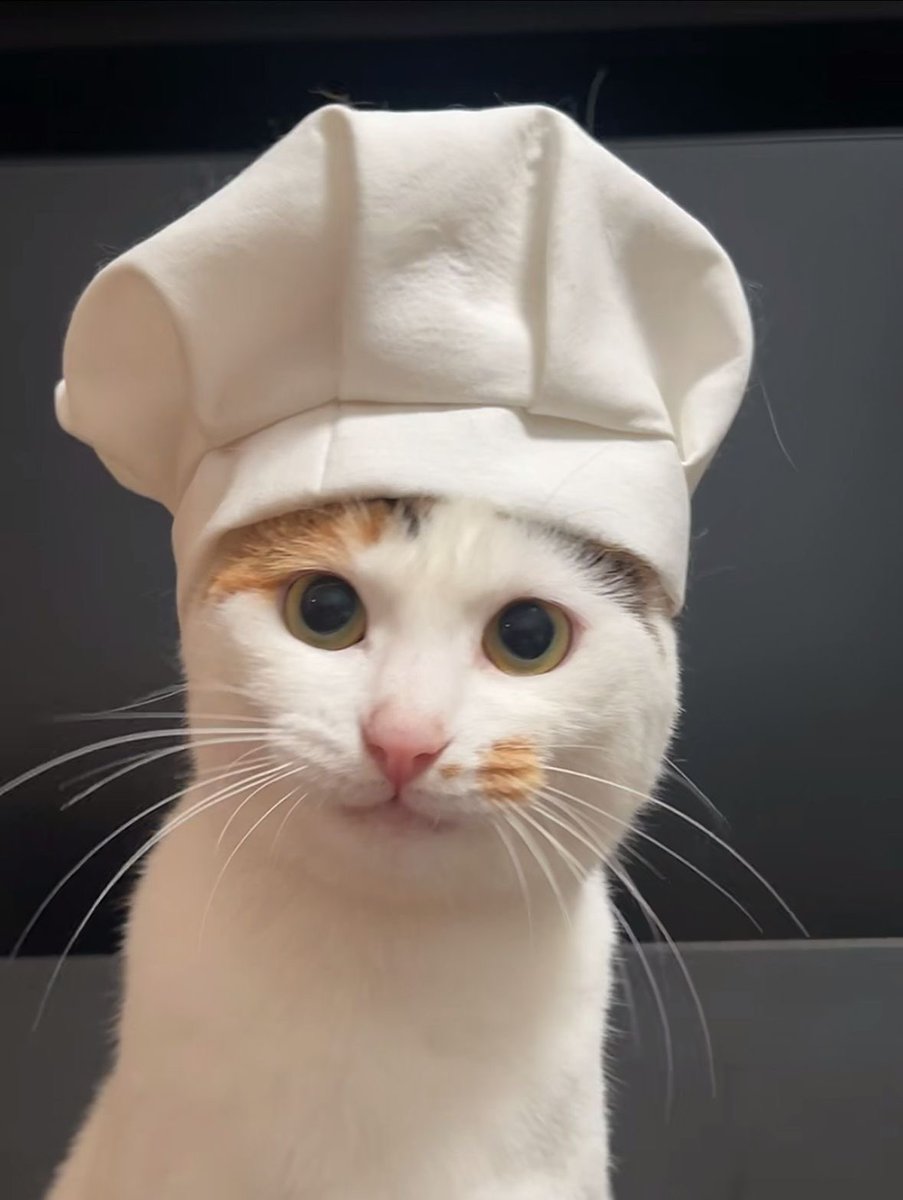 サンディ tweet media