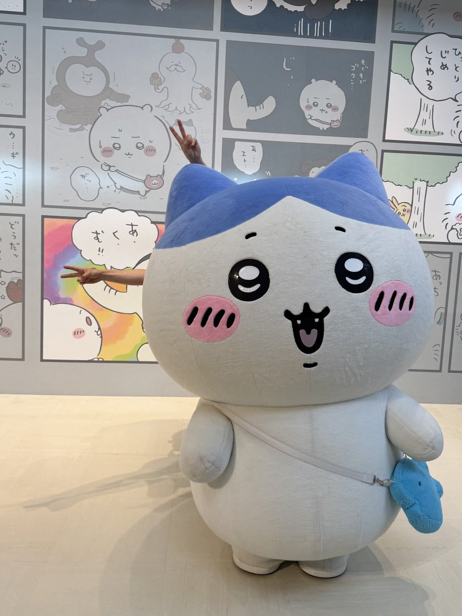 ホッカイロレン（プラガブ） tweet media