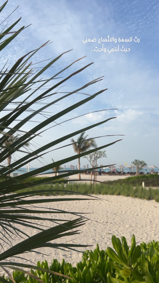 𝐅𝐚𝐭𝐢𝐦𝐚 tweet media