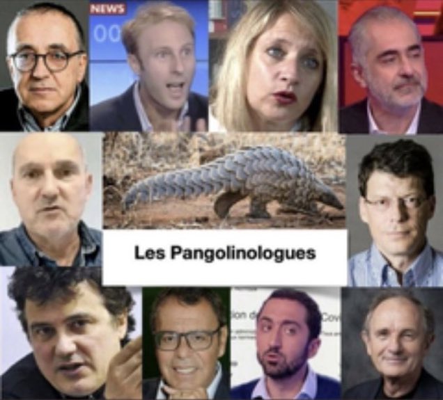 Jacques Bayet 🇧🇪🇲🇫 tweet media