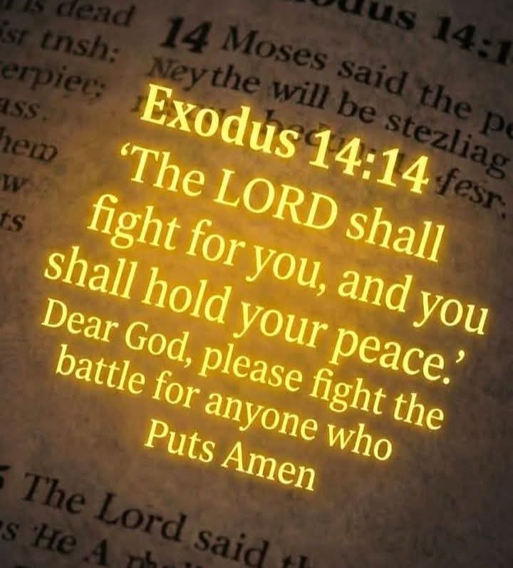 Odeth Mbabazi tweet media