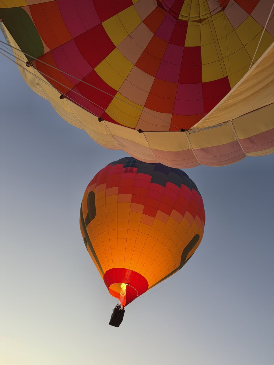 Chloe Davids | NYC tweet media