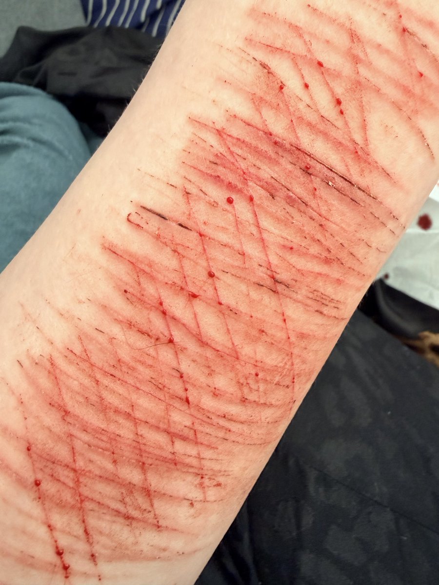 KitKat 🪷 tweet media